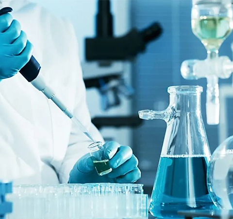 如何證明反轉(zhuǎn)錄第一鏈cDNA成功了？